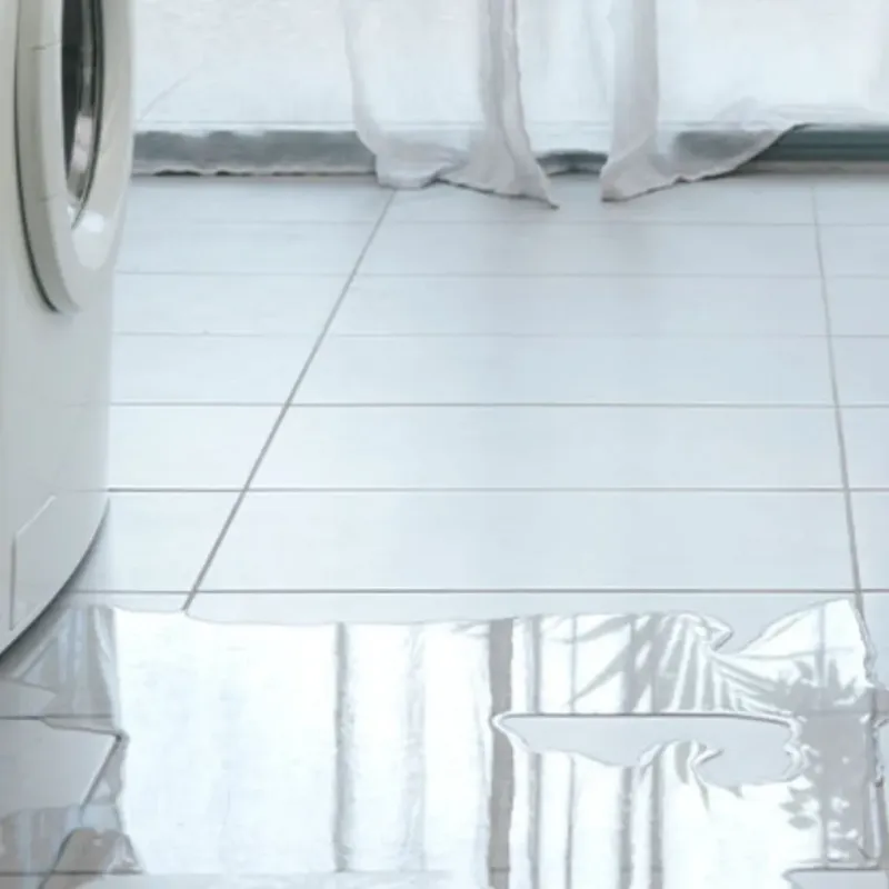 Appliance Leak Cleanup in Georgetown, KY