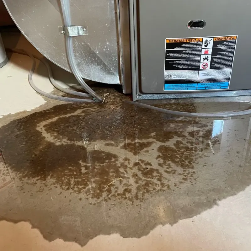 Pipe Burst and Leak Restoration in Georgetown, KY