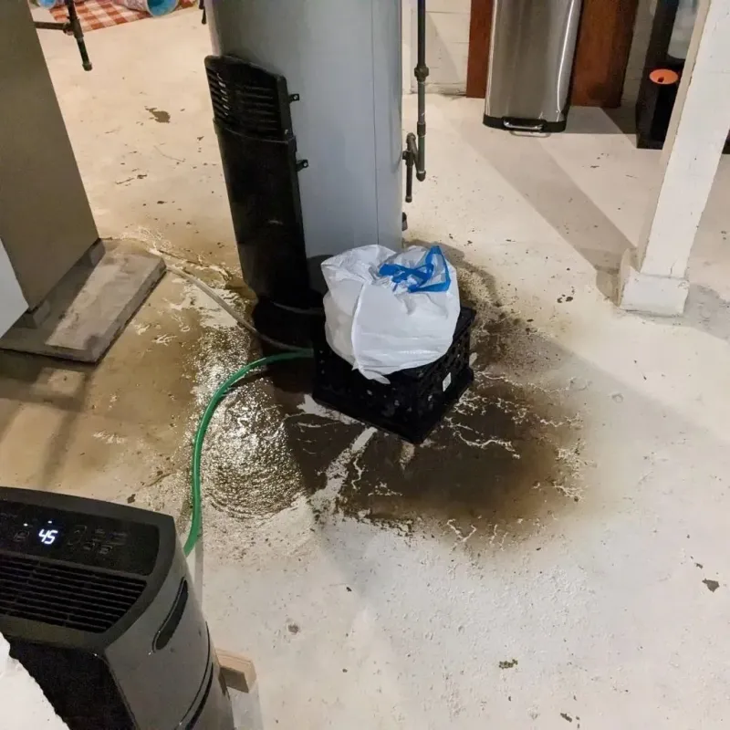 Sewage Backup Cleanup Service in Georgetown, KY